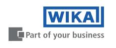 WIKA ͨLOGO