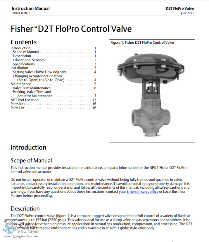 Fisher™ D2T FloPro y