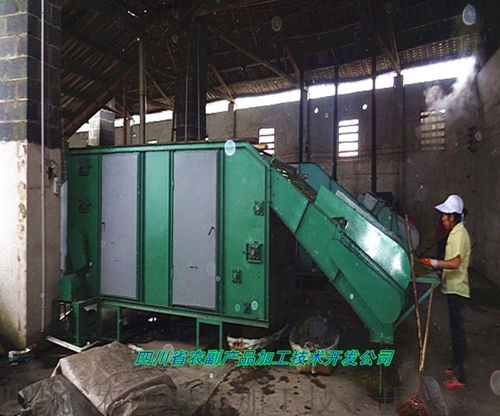黃花菜蒸煮機,黃花菜連續蒸煮機